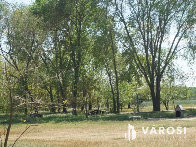 Önellátó családi gazdaság Nagykőrösön