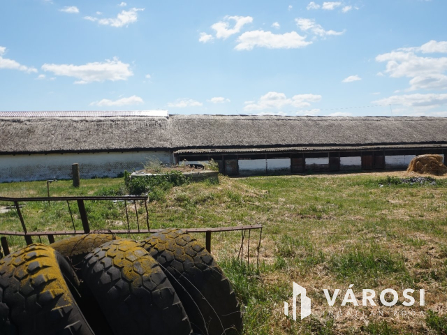 Önellátó családi gazdaság Nagykőrösön