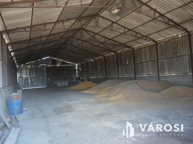 Önellátó családi gazdaság Nagykőrösön