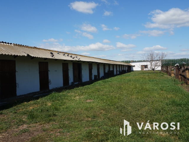 Önellátó családi gazdaság Nagykőrösön