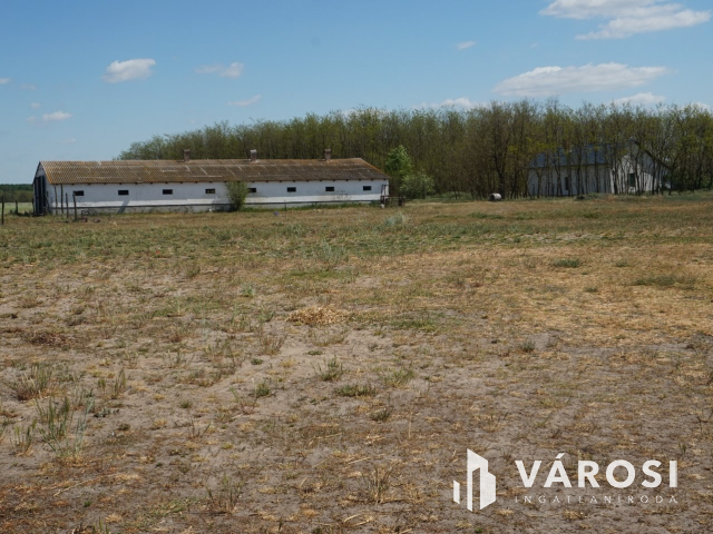 Önellátó családi gazdaság Nagykőrösön