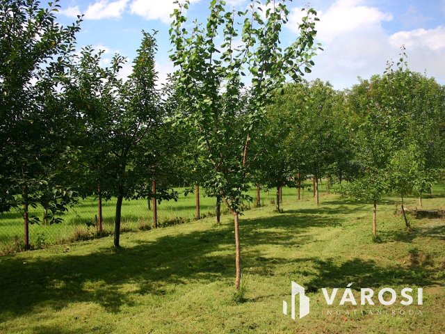 Ha vállalkozást szeretne elindítani,