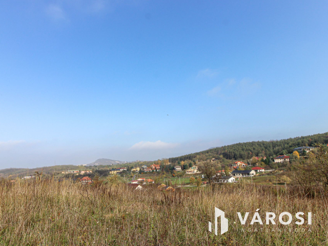 Elvonulni vágyók figyelmébe, panoráma, erdő a szomszéd