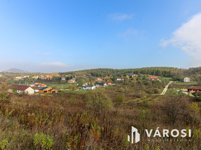 Elvonulni vágyók figyelmébe, panoráma, erdő a szomszéd