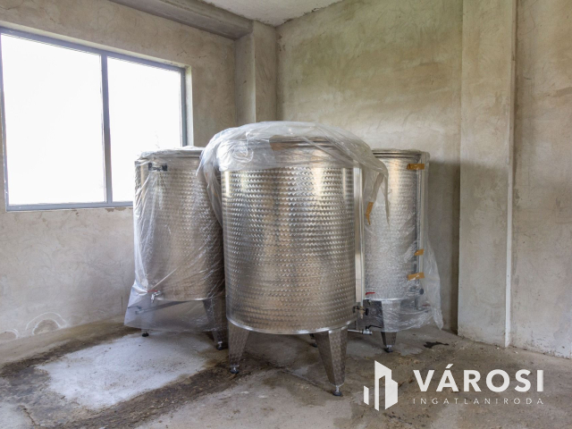 Derekegyházi ipari terület, vállalkozás eladó.