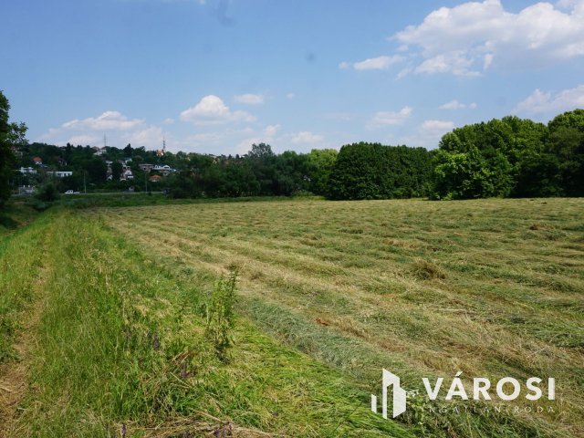 A lehetőségek telke a Solymárvölgyi úton!