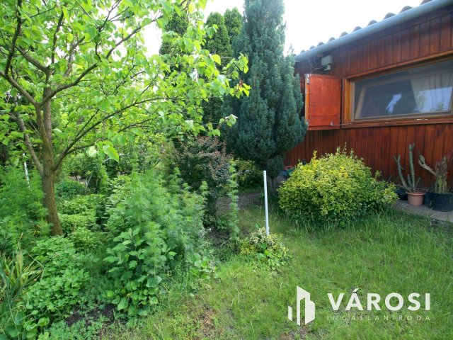 Édenkert Szeged, Sziksóstón