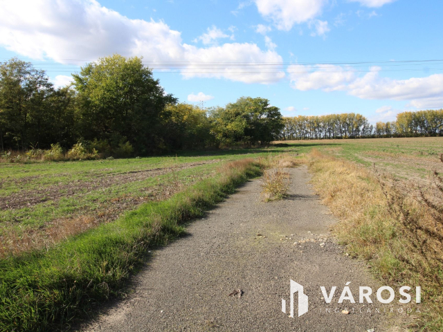 16,5 Ha szántó tanyával együtt eladó!