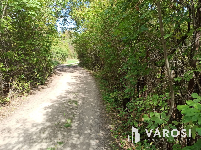 Nyaralónak tökéletes választás Dunabogdányban!