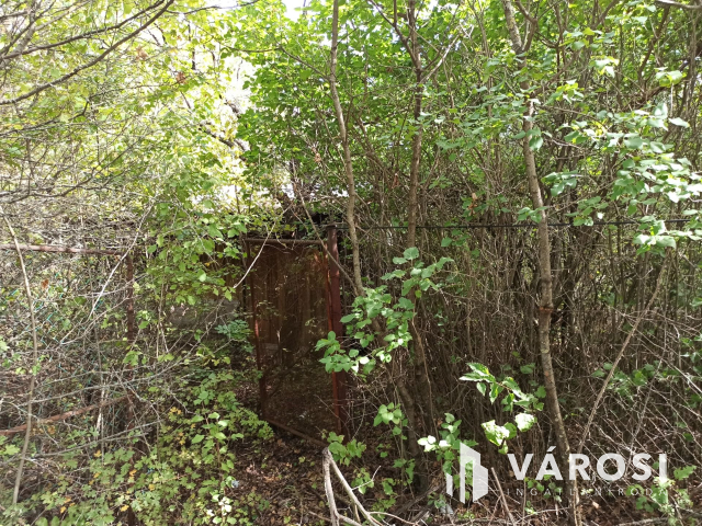 Nyaralónak tökéletes választás Dunabogdányban!