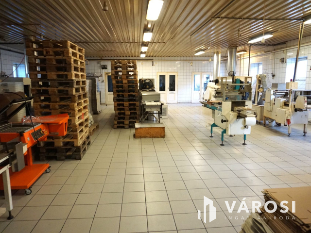 Élelmiszer feldolgozó ár alatt kiadó!