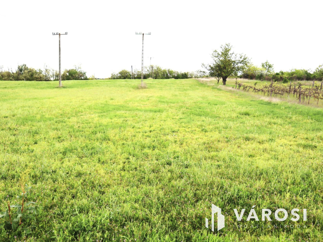 Kőröshegyi telek és szántó együttesen eladó