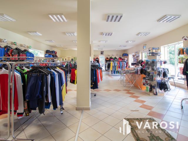 Telephely irodaházzal, 180 m2-es üzlettel és parkolókkal