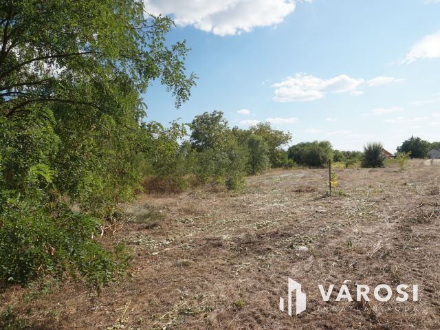 Startra kész az építkezésre!