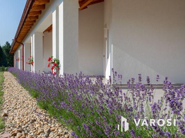 Egyedülálló lehetőség!