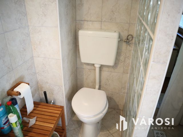 Szatymazi családi ház erdővel!