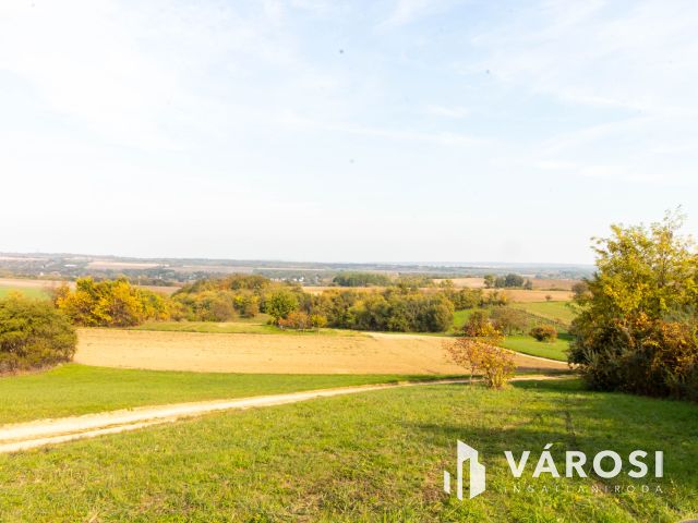 Zártkerti telek Tabajdon 2413 Ft /m2 áron