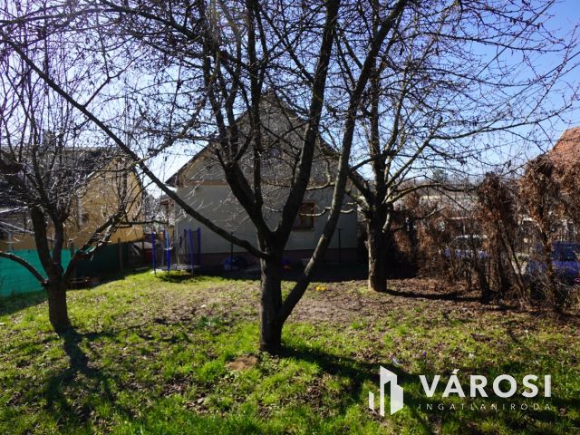 Többgenerációs családi ház Budakeszin!