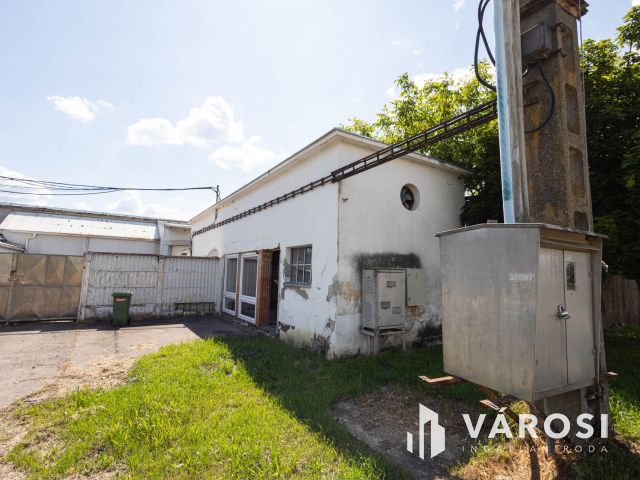 Vágóhíd és húsfeldolgozó üzem