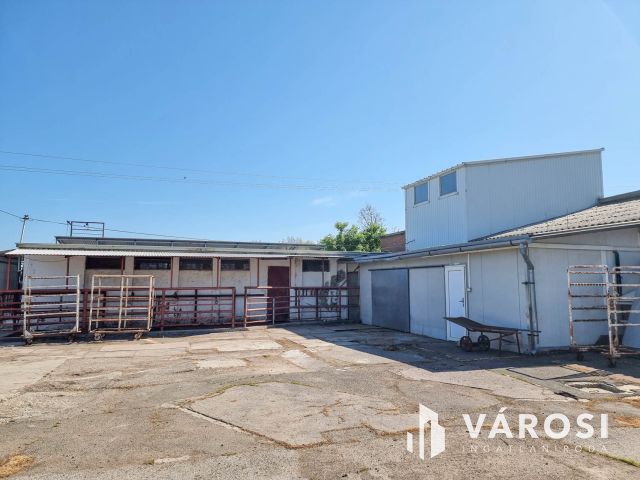 Vágóhíd és húsfeldolgozó üzem