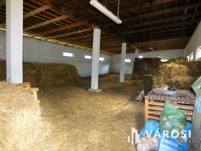 Ipari csarnok eladó egyedi hitelkonstrukcióval is!
