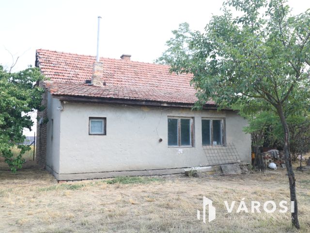 Sándorfalvi úton lévő tanya, közel 100 000 nm-en.