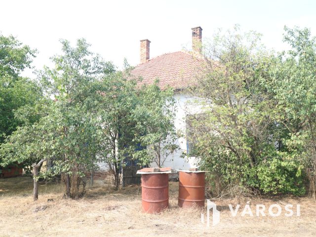 Sándorfalvi úton lévő tanya, közel 100 000 nm-en.