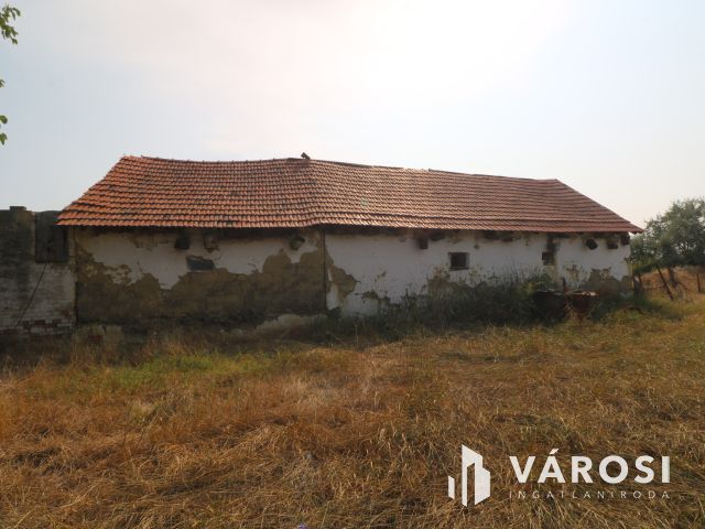 Sándorfalvi úton lévő tanya, közel 100 000 nm-en.