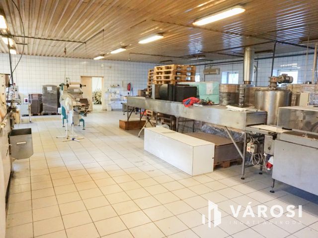 Élelmiszer feldolgozó ár alatt eladó!