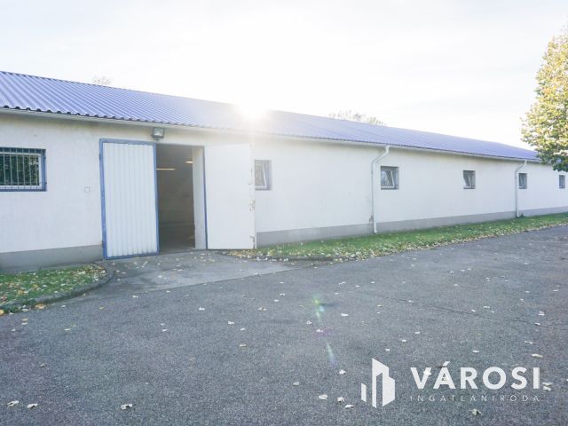 Élelmiszer feldolgozó ár alatt eladó!