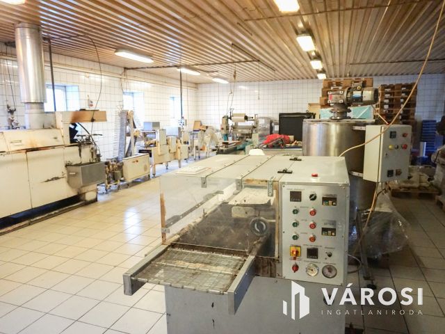 Élelmiszer feldolgozó ár alatt eladó!
