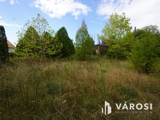 Hatalmas telek eladó Ecseren!