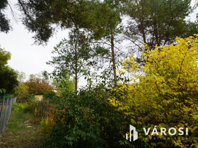 Örök panorámás üdülő övezeti telek eladó