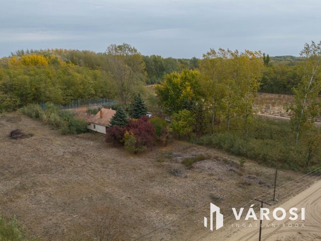 Vadkerti tó mellett teljes a nyugalom