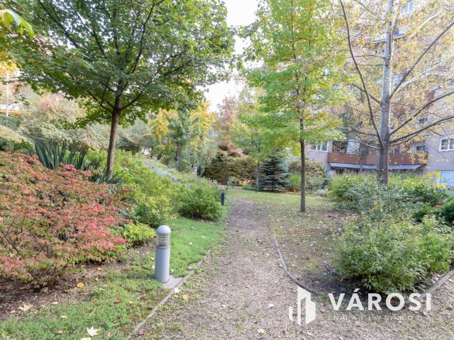 Teraszos, kiskertes 37 m2-es álomlakás eladó Pesterzsébeten