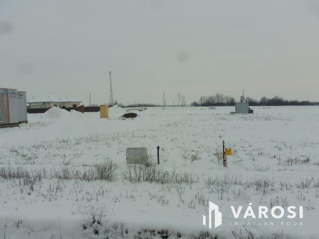 Most még van lehetőség,később ki tudja!