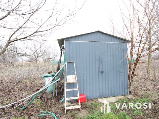 Szeretne passzív jövedelmet dióból?