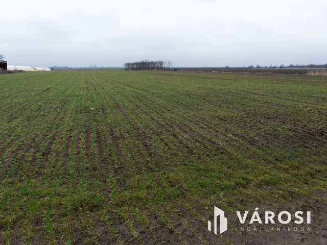 Kiemelt fejlesztési terület Röszke M5 autópálya közelében