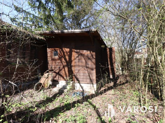 Váltsd valóra az álmod