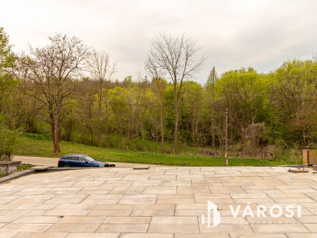 Zártkerti telek vízzel + árammal  Máriahalmon– ne hagyd ki!